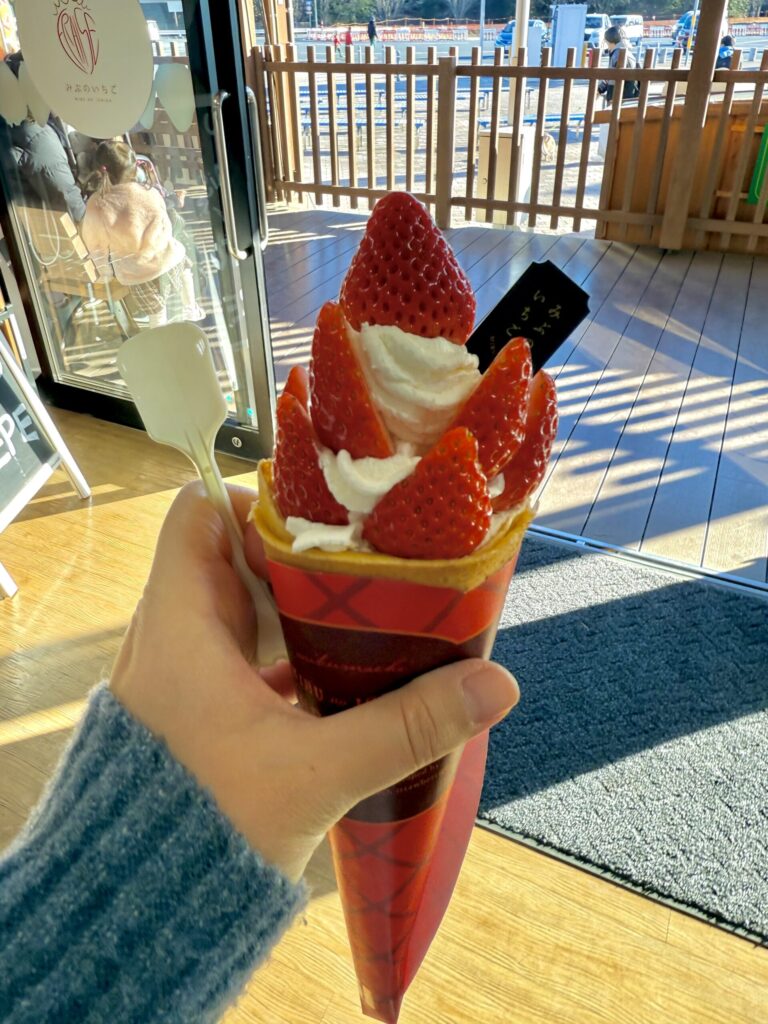 みぶハイウェーパークで購入したいちごたっぷりのクレープを手に持ったところ