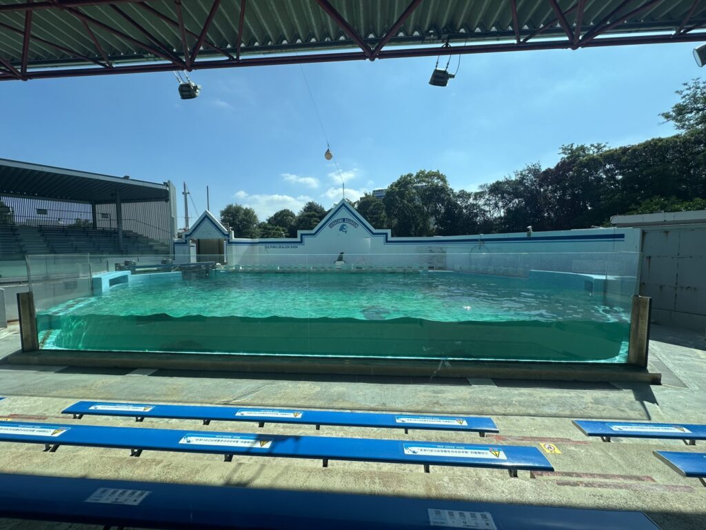 しながわ水族館イルカショーのプールと青い観覧席の全景
