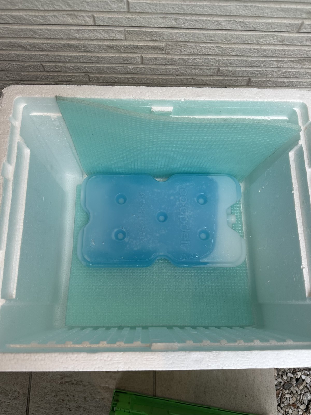 発泡スチロール箱の中に入っているコープデリの保冷剤
